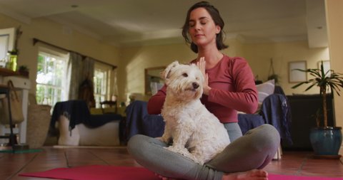 Caucasian woman practicing yoga with her pet dog at home. lifestyle, fitness, pet, companionship and animal friendship concept.