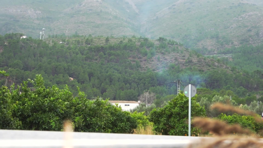 Low level realtime footage showing a single elite cyclist pushing hard and moving quickly up a hill towards the camera, with thick forested countryside in the background