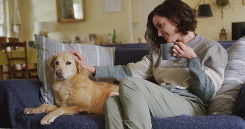 Smiling caucasian woman stroking her pet dog sitting on sofa at home. lifestyle, pet, companionship and animal friendship concept.