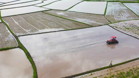Aerial top view of tractor rice car working on water to grow rice paddy, crop field, harvesting agriculture manufacturer cultivation production. Nature environment landscape.Industry in farm