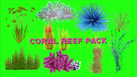 
Underwater plants motion graphics with green screen background, coral reef life green screen, under water sea life 