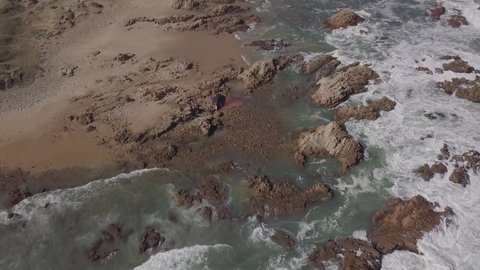 Rocky shore aerial shows Humpback Whale carcass washed onto beach