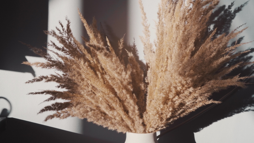 Dried Grass In a Designer Vase On a Coffee Table Smooth Close Up Macro Motion