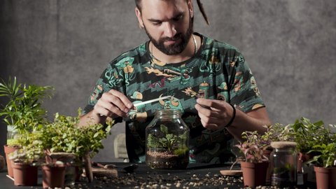 Person making a terrarium. Young attractive botanist is putting small plants and decoration in glass jar. Self-sustaining micro garden ecosystem. Zen meditation hobby. Succulents plant pot.
