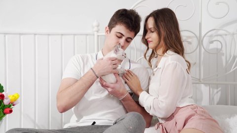 A beautiful couple of young lovers holding a small white kitten sitting in bed. cat breed Nevsky masquerade. pet in a young family.
