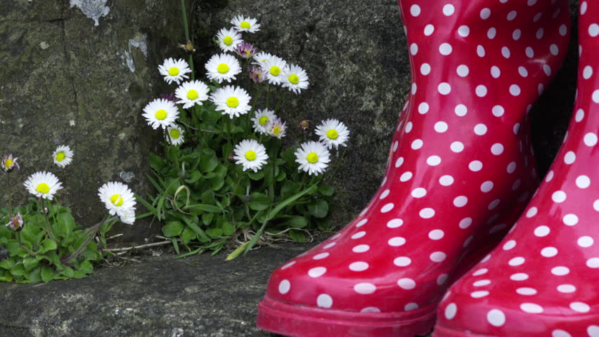polka dot gumboots