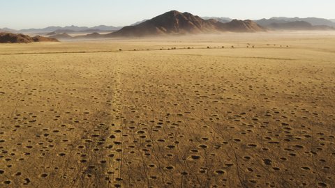Spectacular epic high aerial view grassy vegetation famous fairy circles in the Namib desert 