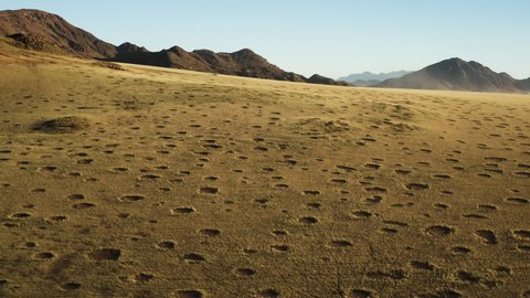 Spectacular epic high aerial view grassy vegetation famous fairy circles in the Namib desert 