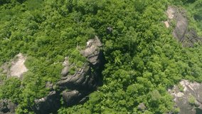 Drone flies along the Seychelles rainforest on a sunny day with drone camera pointing down

