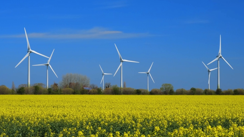 Yellow rapeseed field panorama with wind turbine or wind wheels. Royalty-Free Stock Footage #1074139775
