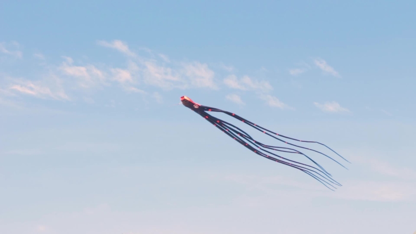 An octopus shaped kite being flown on a San Diego, CA beach during the COVID-19 Pandemic.