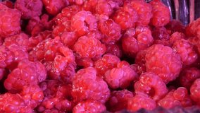 Close-up of ripe, fresh raspberries in a glass dish. Rotating video.