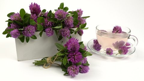 Glass cup with red clover flower tea and white decorative box with clover flowers are on a white table