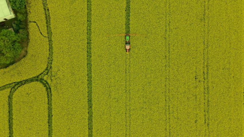 Agricultural Sprayer Applies Pesticide Treatments on Blooming Rape Field, Aerial Top down , following shot Royalty-Free Stock Footage #1074188939