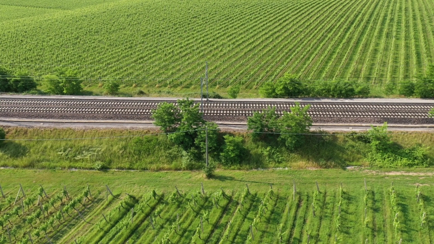 The movement of a red train at high speed between the vineyards, top view. Traffic red train aerial view. Royalty-Free Stock Footage #1074194120