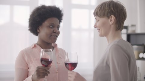 Multiethnic female friends clinking glasses, lgbt couple drinking wine at party