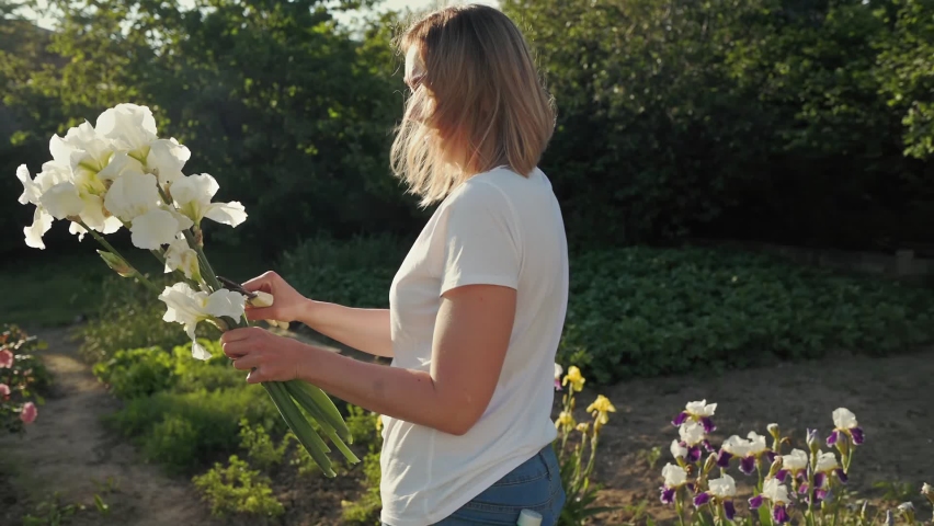 A young Caucasian woman cuts dried flowers on a bouquet of white irises. Slow motion. Summertime.