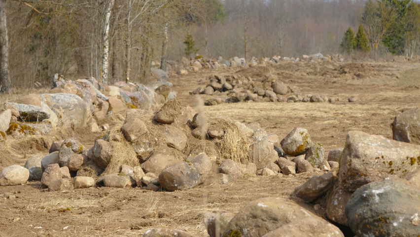 Lots of big rocks on the dry land area in the forest