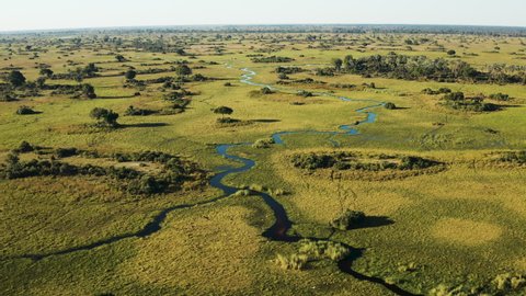 Spectacular high aerial fly over view of the beautiful scenic curving patterned waterways and lagoons of the Okavango Delta