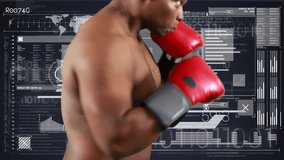 Animation of male boxer with scope scanning and data processing. global sport, competition, technology, data processing and digital interface concept digitally generated video.