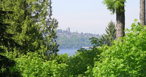 Establishing shot of nice outdoor landscape with trees and green background in Vancouver, Canada, North America. Sunny. Day time on June 2021. Still camera view. ProRes 422 HQ.