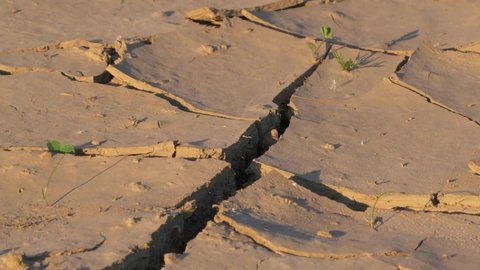 Dry arid land in summer after heat wave medium panning shot