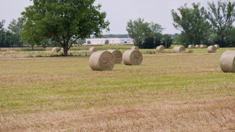 Many Bales of Hay in the Countryside in Spring Time in Italy