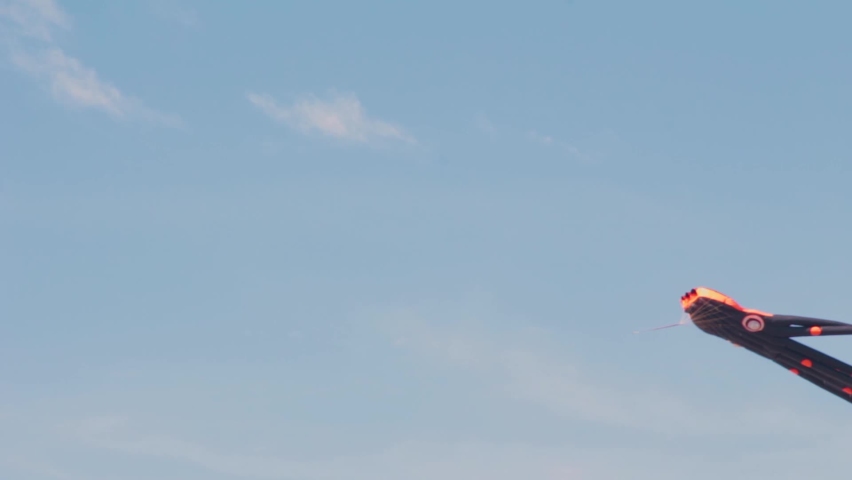 An octopus shaped kite being flown on a San Diego, CA beach during the COVID-19 Pandemic.
