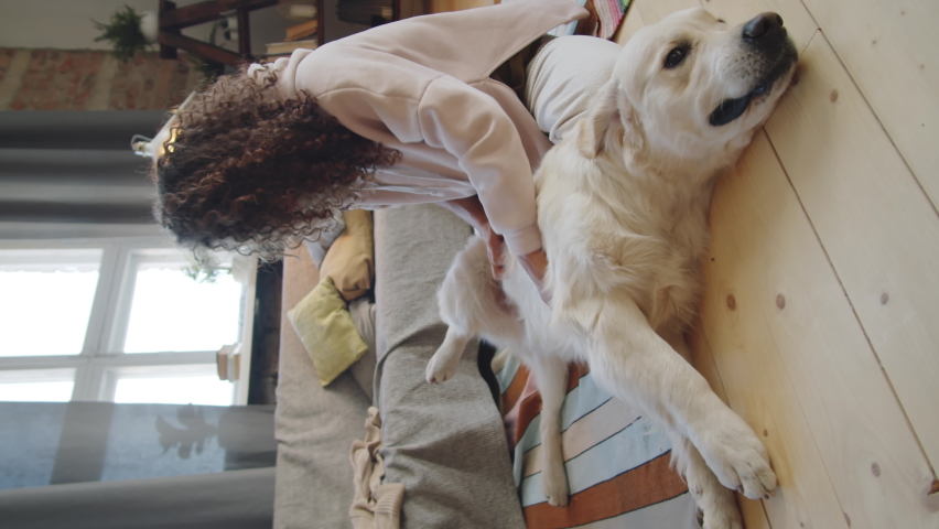 Vertical shot of happy golden retriever dog lying on floor at home while female owner rubbing tummy and petting him