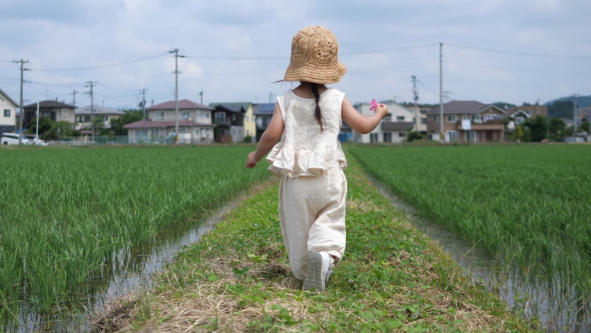 Asian little toddler girl running on a paddy field planted with rice seedlings. Residential area in the background. Preschool child have a pink azalea flower in hand Royalty-Free Stock Footage #1074248837