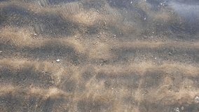 Sandy seabed through clear water. Play of light on the surface of the water. Video background for travel and recreation.