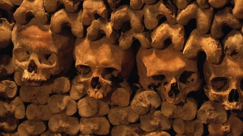 Paris, France - June 15 2021: Paris Catacombs, human bones and skulls, closeup panning