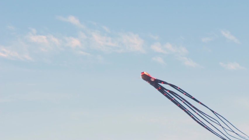 An octopus shaped kite being flown on a San Diego, CA beach during the COVID-19 Pandemic.