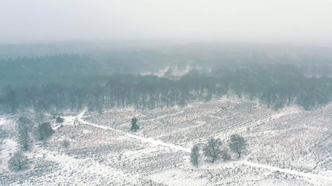 Aerial View Of Snow Covered winter Landscape Over Veluwe National Park. Follow Shot
