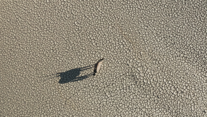 Straight down aerial view of a Gemsbok Oryx walking on the dry parched cracked mud surface casting a shadow in the spectacular Namib Desert Royalty-Free Stock Footage #1074292424