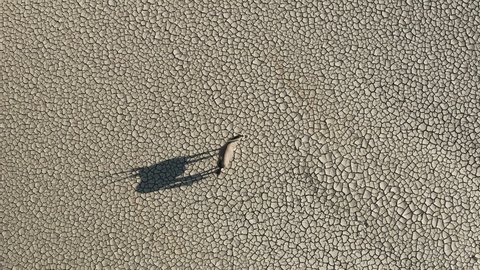 Straight down aerial view of a Gemsbok Oryx walking on the dry parched cracked mud surface casting a shadow in the spectacular Namib Desert