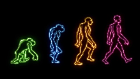 69 Human Evolution Cartoon Stock Video Footage - 4K and HD Video Clips | Shutterstock 69 Human Evolution Cartoon Stock Video Footage - 4K and HD Video Clips | Shutterstock