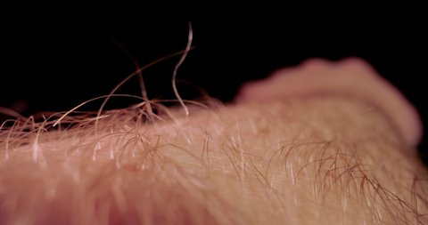 Arm skin and hair camera motion with wide angle macro probe lens giving unique perspective