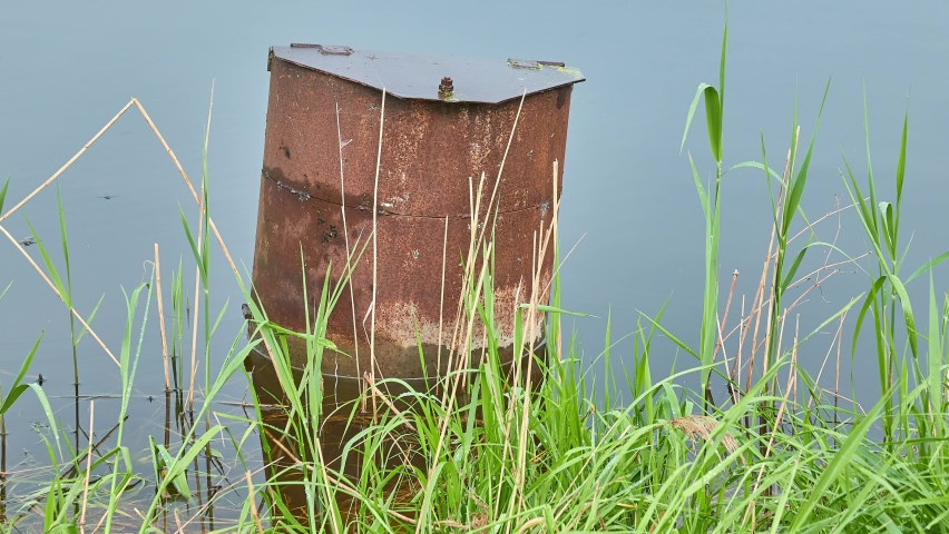 A rusty metal pole sticking out of the water in an old lake. Waterflies float on the surface of the water.