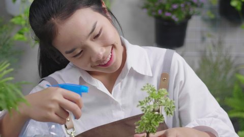 Close up front view of happy young Asian  woman working in garden with spray while sitting. Asian woman spraying plants with water while taking care of her houseplant shop. Gardening concept