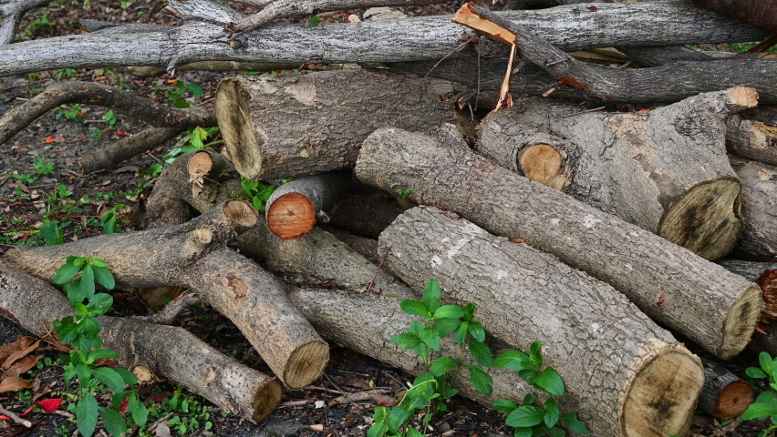 Stack of a woodpile in the countryside. Wooden environment material.