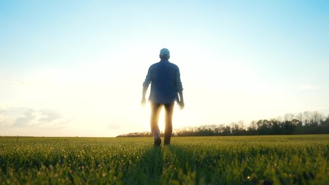 agriculture. man farmer a agronomist walk green field sunset of wheat grass. agriculture farming business concept. male farmer silhouette at walk. agriculture healthy food business farming concept