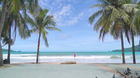 14 June 2021. PHUKET THAILAND. No People on landscape Beach sea in summer. Palm tree on beach. Nature Video 4K High Quality UHD.