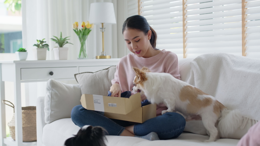Young happy asia people girl smile enjoy with cute dog unbox snack food post mail sit relax at home comfort sofa couch in omni channel fast send parcel via online sale pet shop store e-commerce order. | Shutterstock HD Video #1074358292