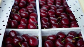 Sweet Cherries on a white wooden box. Fresh juicy red cherry berry rotate. Tasty natural desserts for healthy eating. Raw dessert food with sweet taste. 4K UHD video