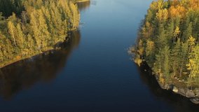 The aerial view of the trees on the middle of Lake Saimaa in Finland on a sunny day. Saimaa is a lake in the southeastern part of the country. Near the Russian-Finnish border.geology video.4k