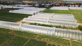 Aerial view fabulous city where vegetables are grown. Greenhouses of large sizes. Growing in greenhouses on an industrial scale. - Powered by Shutterstock - Get 15% off with code: PIKWIZARD15