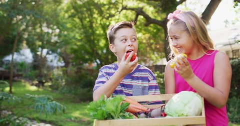 Smiling caucasian brother and sister standing in garden holding box of vegetables, playing with them. happy family spending free time at home.