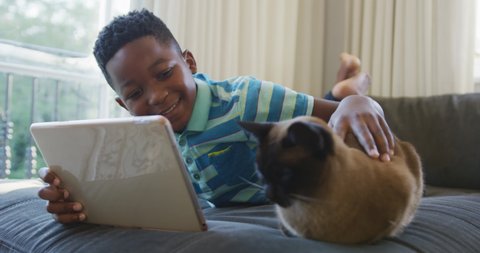Happy african american boy lying on couch using tablet,stroking siamese pet cat and smiling. spending free time at home.