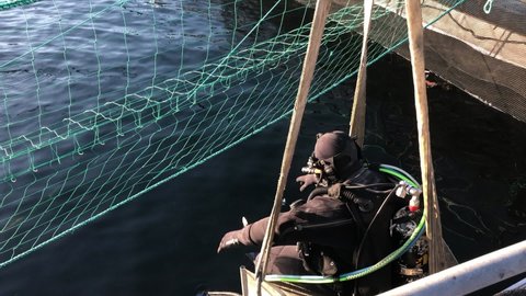 Commercial diver inspecting salmon farm.